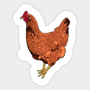 Rhode Island Red Chicken Sticker